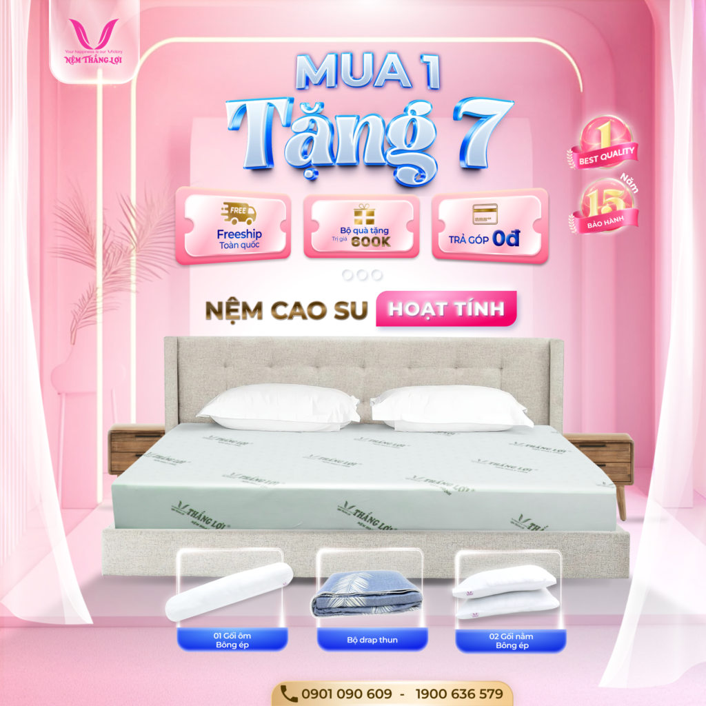 NỆM CAO SU NON HOẠT TÍNH THẮNG LỢI