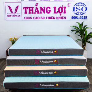4 màu Nệm Điều Hòa Thắng Lợi Vitamin Cool