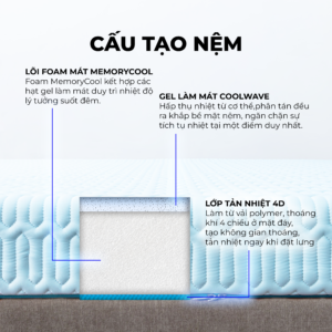 Cấu tạo Nệm Điều Hòa Thắng Lợi Vitamin Cool